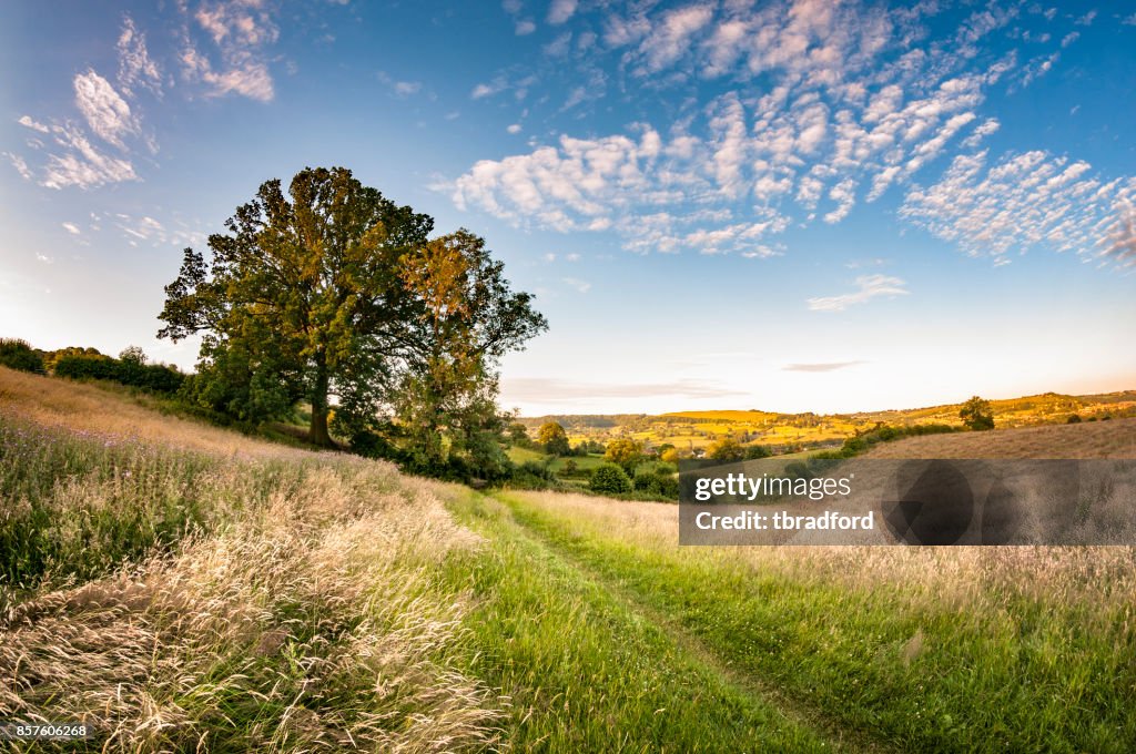 Beautiful Landscape In The Cotswolds, England