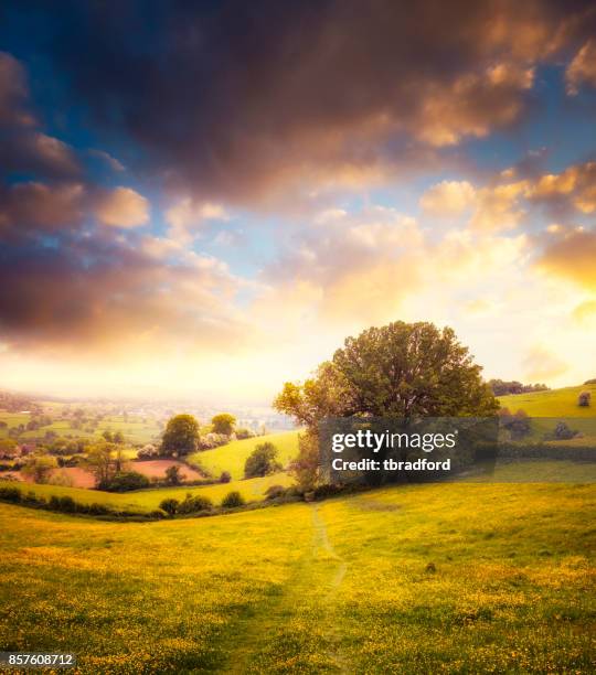 beautiful sunset over a landscape view in the cotswolds, england - cotswolds stock pictures, royalty-free photos & images