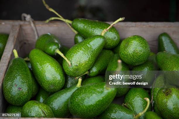 avocado lose - food markt stock pictures, royalty-free photos & images