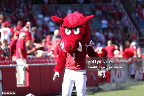 Arkansas Razorbacks Mohawk Razorback Mascot Photos and Premium High Res Pictures - Getty Images