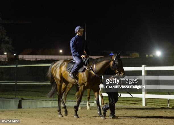 Hugh Bowman riding Winx after galloping on the steeple grass during a Trackwork Session at Flemington Racecourse on October 5, 2017 in Melbourne,...