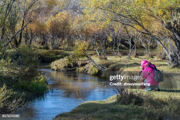 301 Brook Steppe Stock Photos, HighRes Pictures, and Images Getty Images