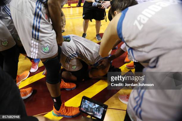 Plenette Pierson of the Minnesota Lynx celebrates with tears of joy after defeating the Los Angeles Sparks in Game 5 of the 2017 WNBA Finals on...