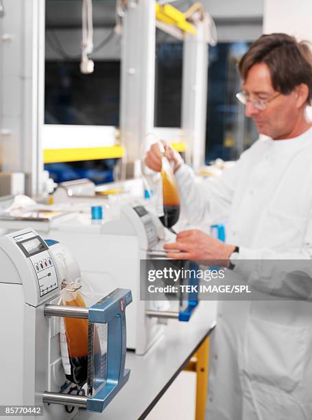 researcher preparing blood bags - single red blood cell stock pictures, royalty-free photos & images