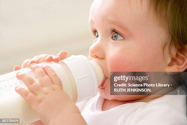 baby boy (6-11 months) drinking milk from bottle - baby bottle stockfoto's en -beelden