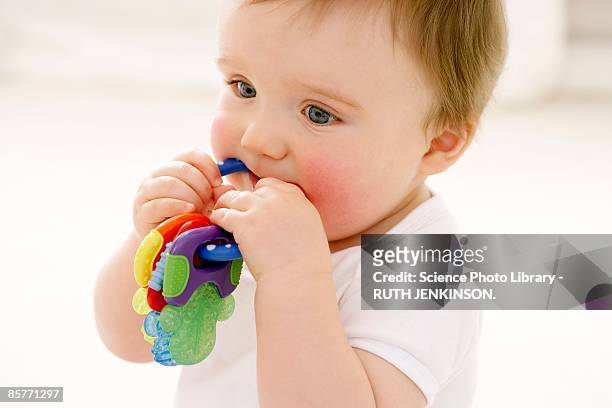 baby boy chewing on teething ring - gezahnt stock-fotos und bilder