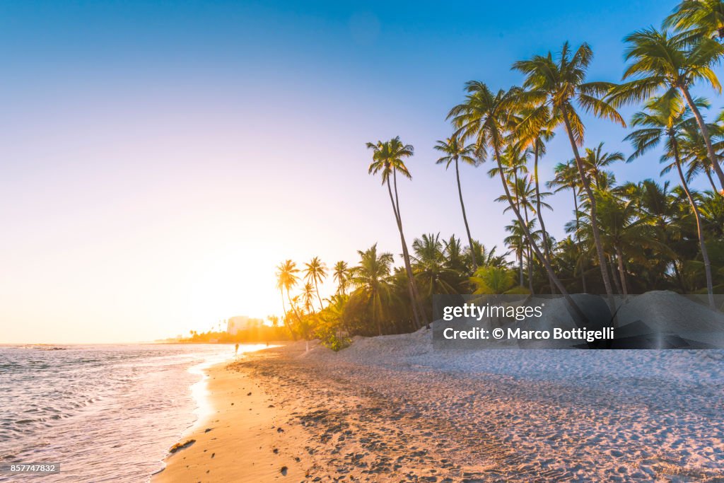 Sunset on tropical beach, Dominican Republic.