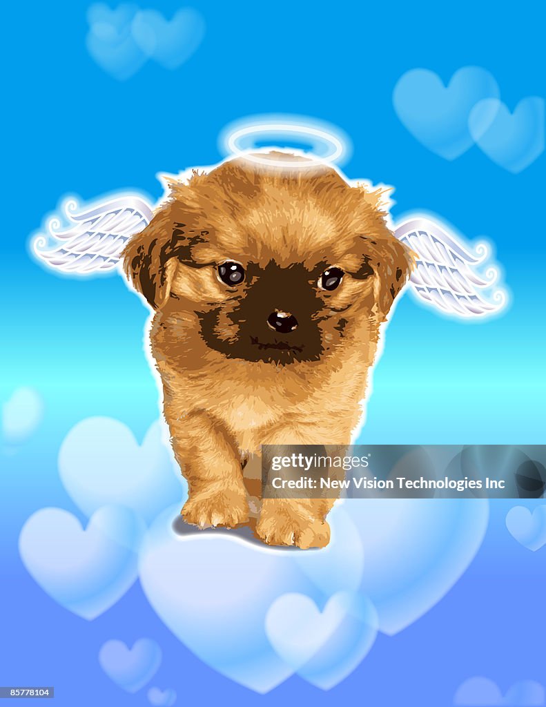 Puppy with wings and halo
