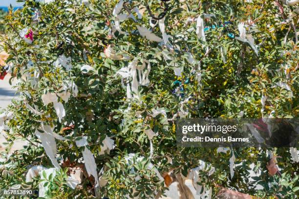 rag prayer tree beside agios georgios church, cyprus - agios georgios church stock pictures, royalty-free photos & images