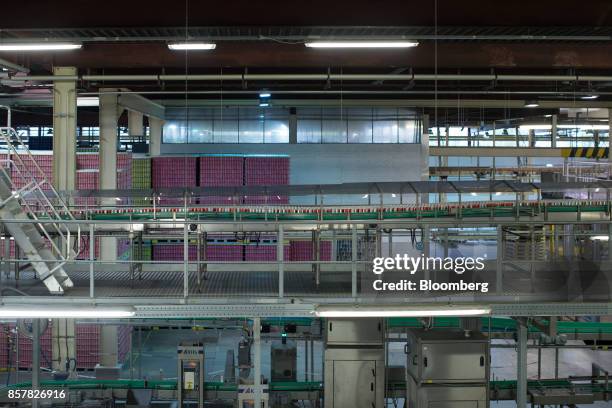 Filled soft-drink cans pass along a conveyor inside the Refresco Group NV beverage bottling factory in Maarheeze, Netherlands, on Thursday, Oct. 5....