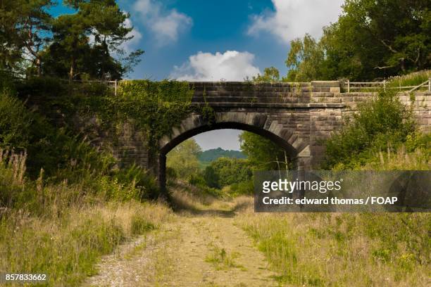 bridge along abandond railway - foap stock pictures, royalty-free photos & images