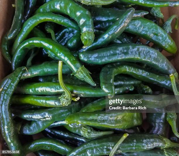 Paczilla Berry 53 Pasilla Peppers Stock Photos, High-Res Pictures, and Images - Getty ...