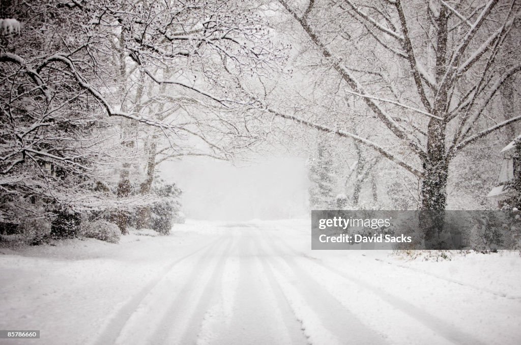Snowy road in snow storm.