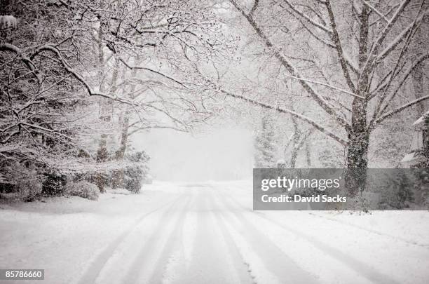 snowy road in snow storm. - blizzard photos et images de collection