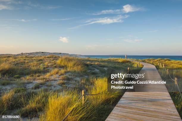 ses illetes beach - voetgangerspad stockfoto's en -beelden