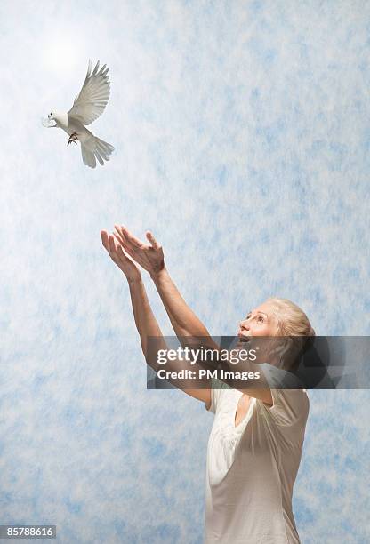 mature woman releasing dove - dove bird stock pictures, royalty-free photos & images