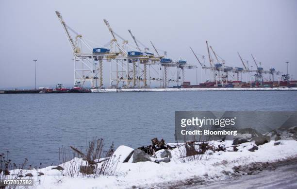 Gantry cranes stand at the Global Containers Terminals Deltaport site in Tsawwassen, British Columbia, Canada, on Wednesday, Feb. 8, 2017. The new...