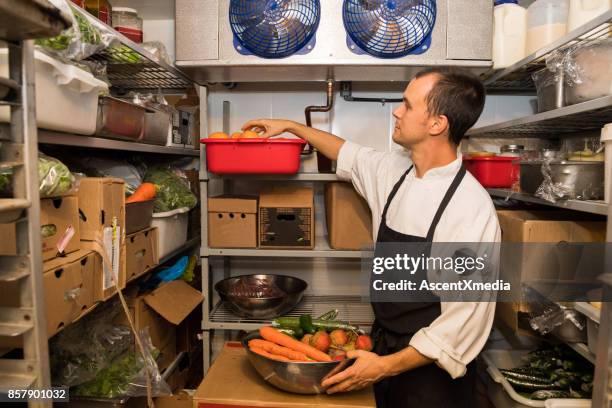 professional chef at work - restaurant kitchen fridge stock pictures, royalty-free photos & images
