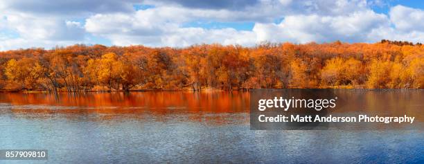 rock river trees in splended fall color panoramic - wisconsin v michigan stock-fotos und bilder