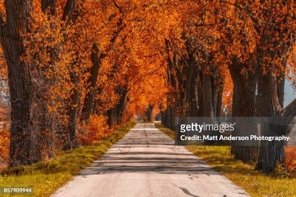 weary road - indiana lake stock pictures, royalty-free photos & images