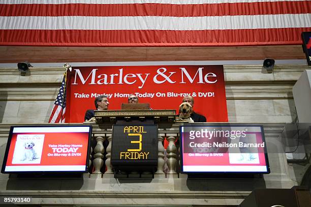 Director David Frankel and Marley ring the closing bell at the New York Stock Exchange on April 3, 2009 in New York City.