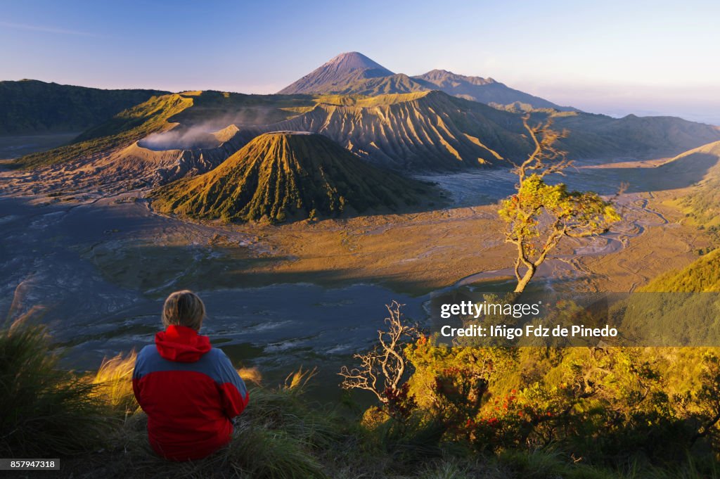 Mount Bromo - Bromo Tengger Semeru National Park - Cemoro Lawang - Indonedia