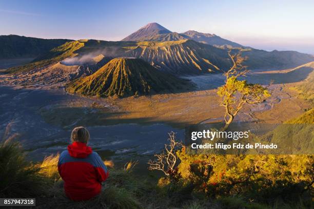 mount bromo - bromo tengger semeru national park - cemoro lawang - indonedia - surabaya bildbanksfoton och bilder