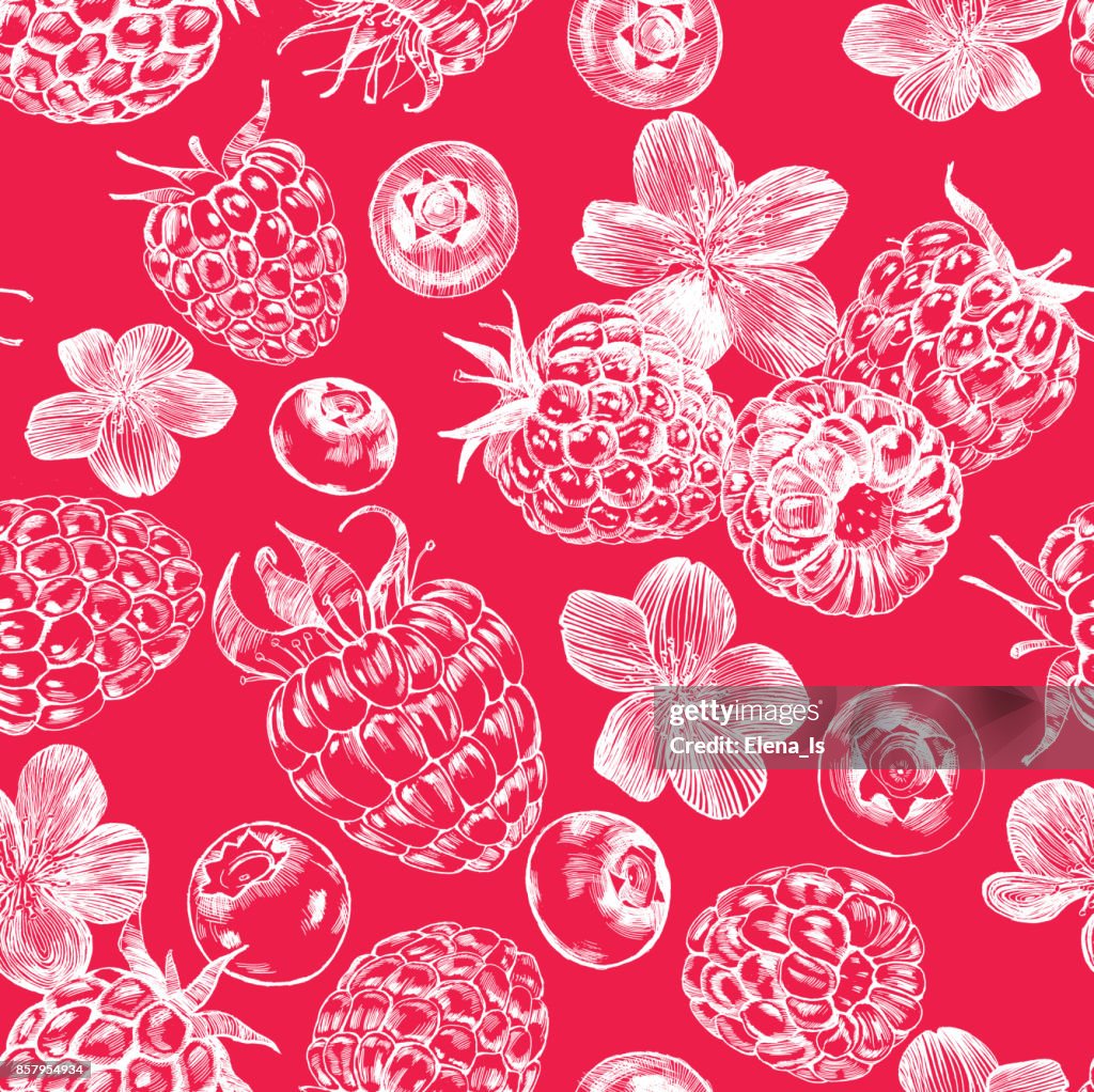 Botanical With Raspberry Patterns Seamless Pattern Botanical Illustration Of Raspberries Blueberries And ...