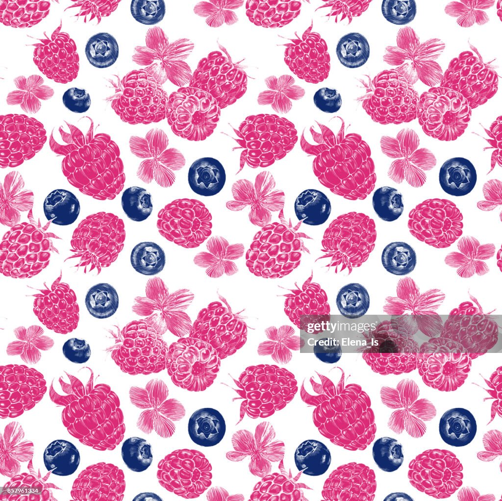 Botanical With Raspberry Patterns Seamless Pattern Botanical Illustration Of Raspberries Blueberries And ...