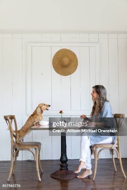 woman having breakfast with her pet dog, long haired dachshund - long haired dachshund fotografías e imágenes de stock