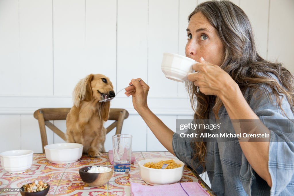 Woman feeding her dog breakfast from the table like a baby