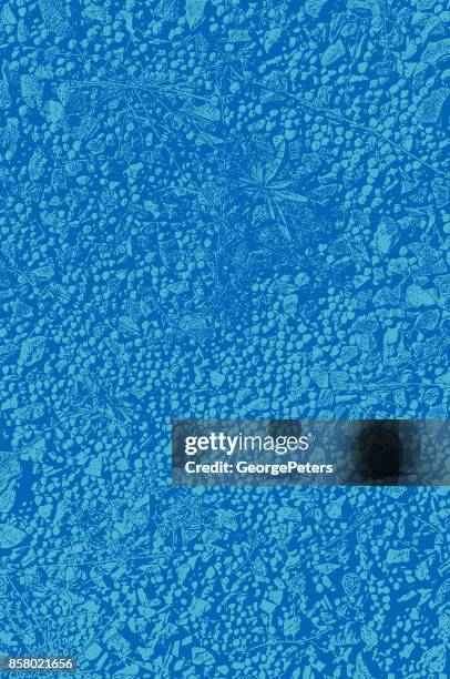 macro view of a gravel path background - stone path stock illustrations