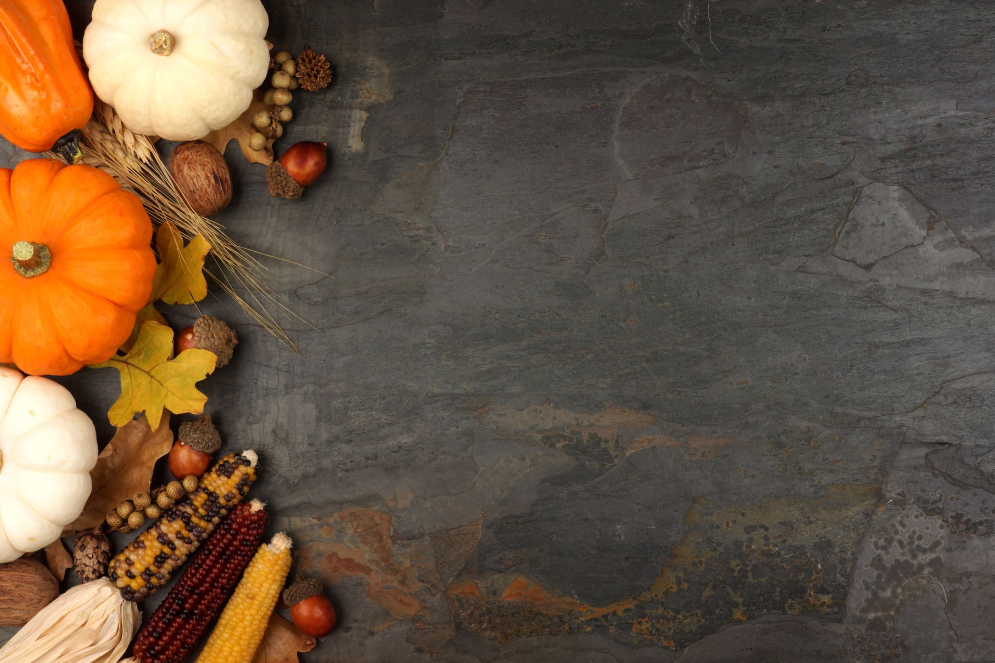 fall harvest festival