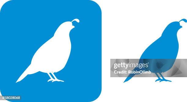 ilustrações de stock, clip art, desenhos animados e ícones de blue quail icons - codorniz ave de caça