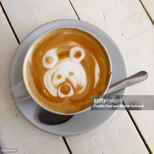 coffee froth art: bear - coffee art stockfoto's en -beelden
