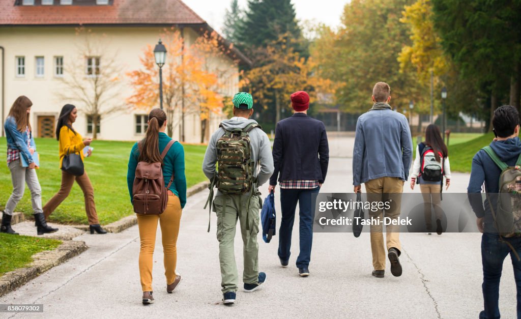 Rear View Of Students Walking Through The Park