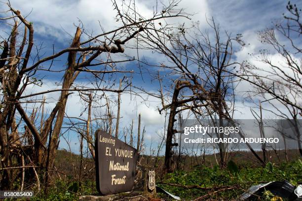 The entrance of the closed El Yunque National Forest affected by the passing of Hurricane Maria is seen in Luquillo, Puerto Rico on October 4, 2017....