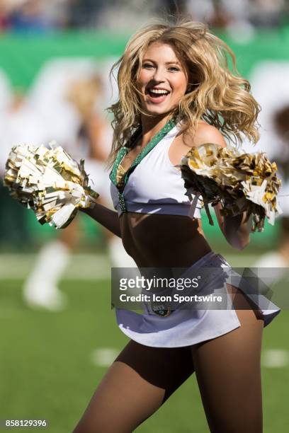Member of the NY Jets "flight crew" on the field during the second half of a regular season NFL game between the Jacksonville Jaguars and the New...