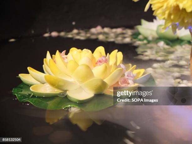 The lotus flower represents one symbol of fortune in Buddhism. Wesak is the most important day for Buddhist devotees as they commemorates the birth,...