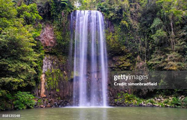 millaa millaa falls, queensland, australia - millaa millaa waterfall stock pictures, royalty-free photos & images