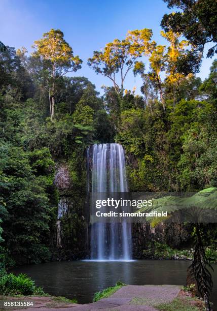 millaa millaa falls, queensland, australie - chutes millaa millaa photos et images de collection