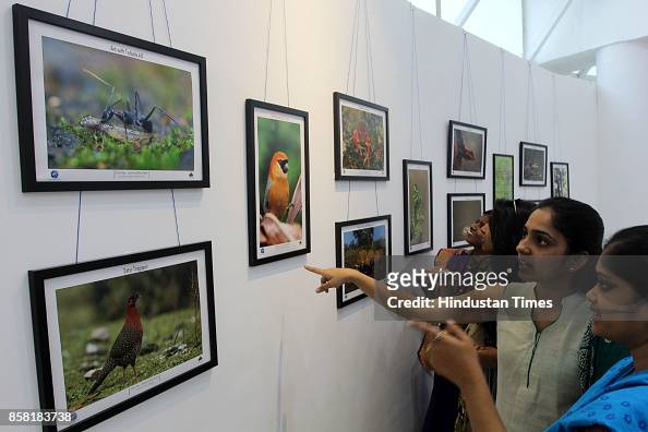 74 India Wildlife Exhibition Photos and Premium High Res Pictures - Getty  Images