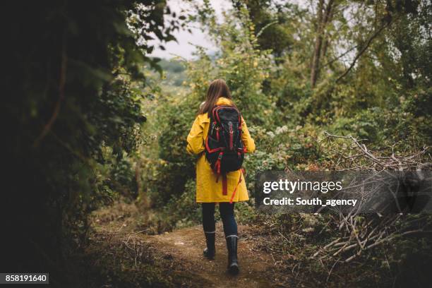single woman hiking in the forest - epping forest stock pictures, royalty-free photos & images