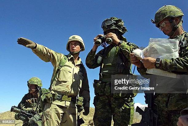 American 10th Mountain Division and Princess Patricia's Canadian Light Infantry battalion soldiers survey their position March 15, 2002 25 kilometers...