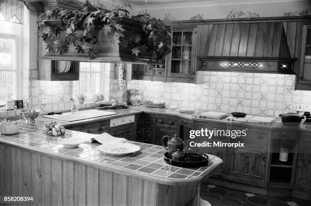 183 Denis Kitchen Photos & High Res Pictures Getty Images