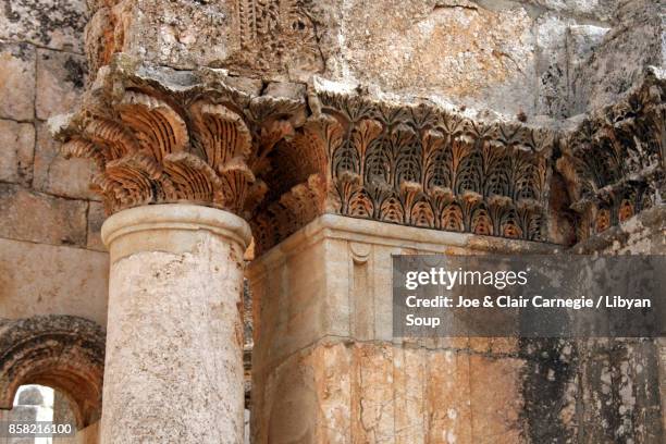 windblown acanthus leaf carvings, st. simeons, syria. - acanthus leaf bildbanksfoton och bilder