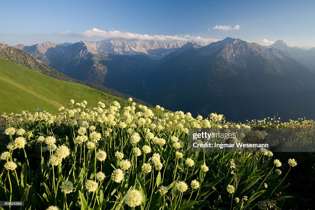  mt. hoenig - tirol - austria