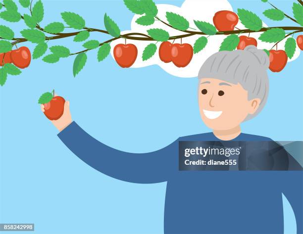 a person picking fall apples. - apple picking stock illustrations