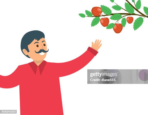 a person picking fall apples. - apple picking stock illustrations