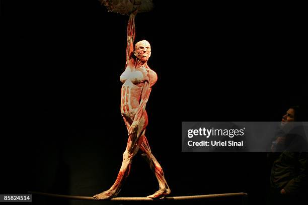 Location Of Organs In The Human Body Photos and Premium High Res ... Biology Diagrams